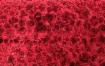WERSAL GAPPA dizajnová sedacia súprava s el.mechanizmom - 5 farieb